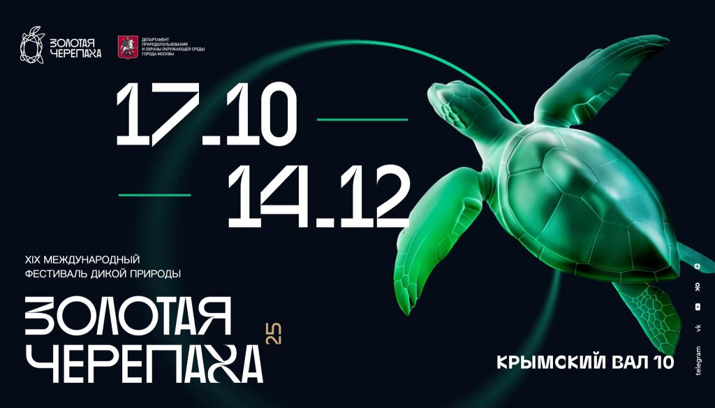 Featured image for “銘傳商設系陳郭益言榮獲GOLDEN TURTLE金龜國際生態海報設計大賽雙獎”